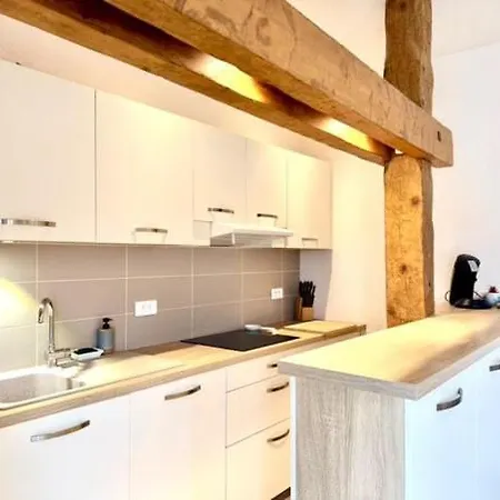 Le Cocon Celeste - D'exception - Vue Sur Les Alpes - Centre-ville - Gare A 1 Min Appartement